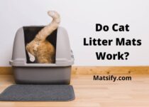 Do Cat Litter Mats Work
